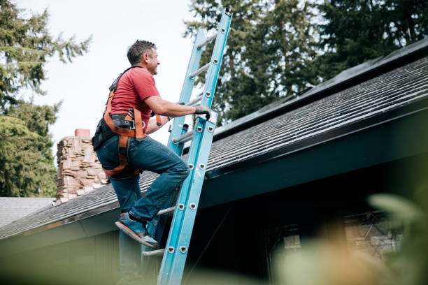 Best Solar Panel Roofing Installation  in Haliimaile, HI